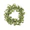 30" Artificial Geranium Aralia Wreath | Lifelike Greenery for Door & Wall Decor